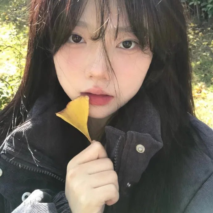 如果历史是一群喵第七季