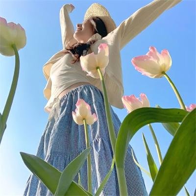 森林进化论